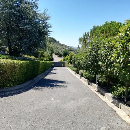 Garden 2