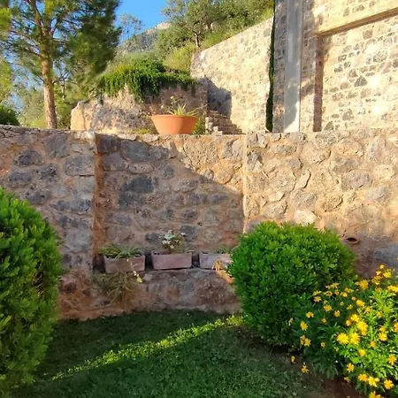 Garden 2 *